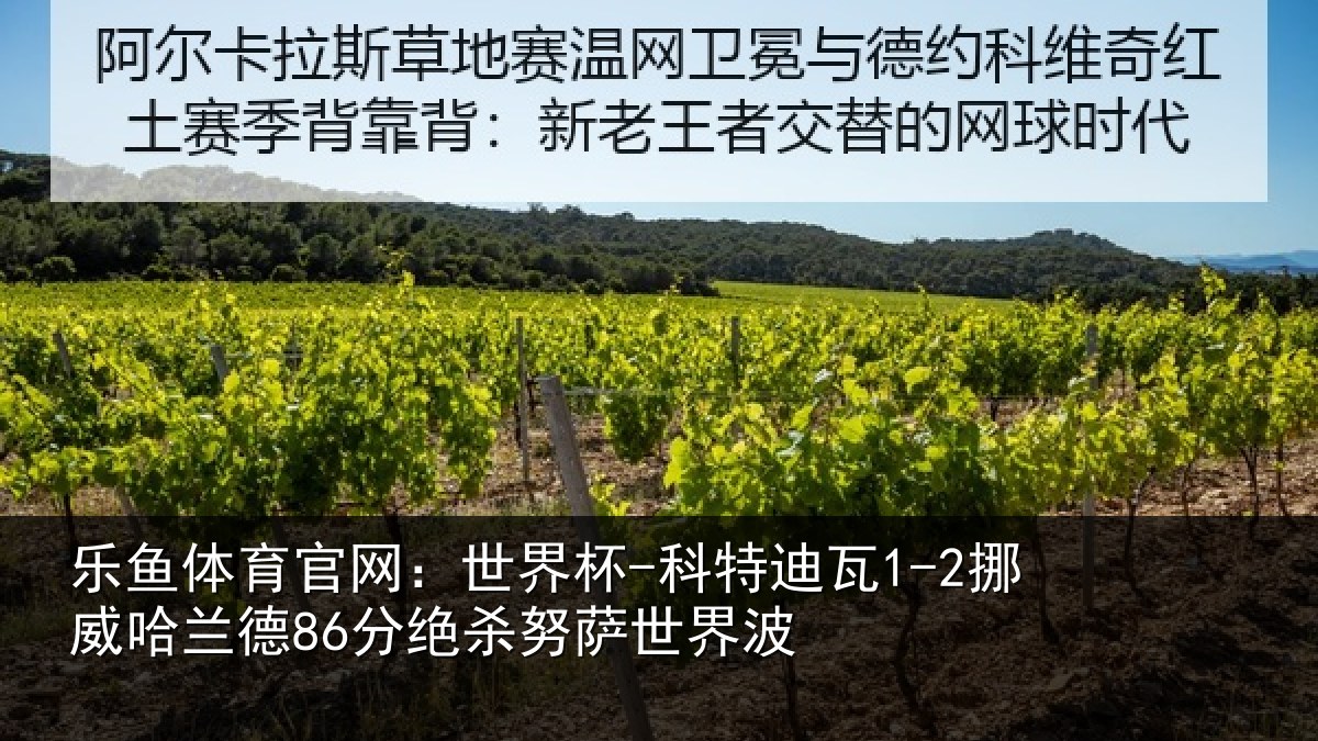 乐鱼体育官网:世界杯-科特迪瓦1-2挪威哈相关情况界波