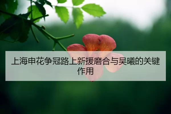 shang-hai-shen-hua-zheng-guan-lu-shang-xin-yuan-mo-he-yu-wu-xi-de-guan-jian-zuo-yong-2-514.jpg