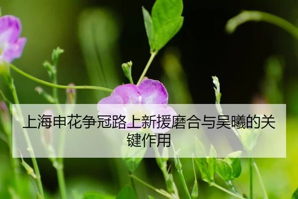 shang-hai-shen-hua-zheng-guan-lu-shang-xin-yuan-mo-he-yu-wu-xi-de-guan-jian-zuo-yong-3-643.jpg