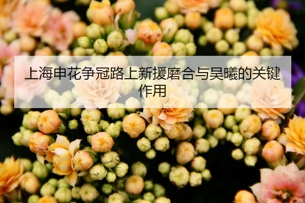 上海申花争冠路上新援磨合与吴曦的关键作用