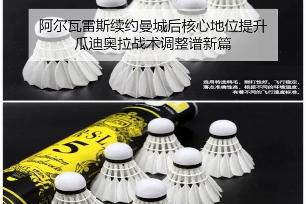 a-er-wa-lei-si-xu-yue-man-cheng-hou-he-xin-di-wei-ti-sheng-gua-di-ao-la-zhan-shu-tiao-zheng-pu-xin-pian-2-678.jpg