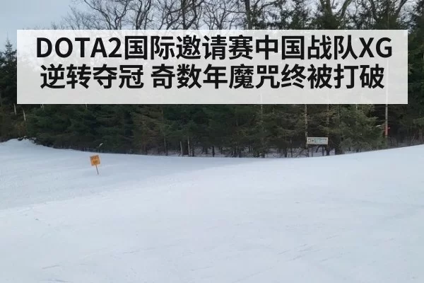 DOTA2国际邀请赛中国战队XG逆转夺冠 奇数年魔咒终被打破
